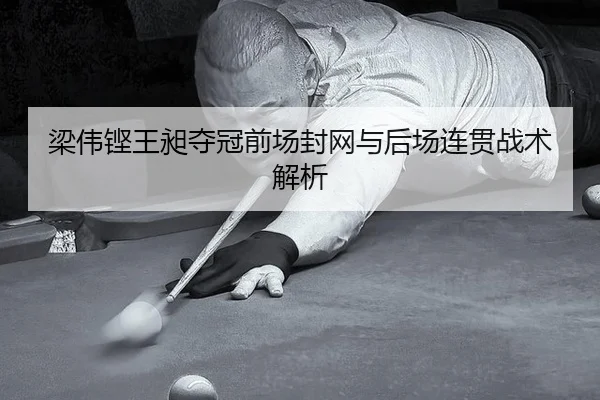 梁伟铿王昶夺冠前场封网与后场连贯战术解析